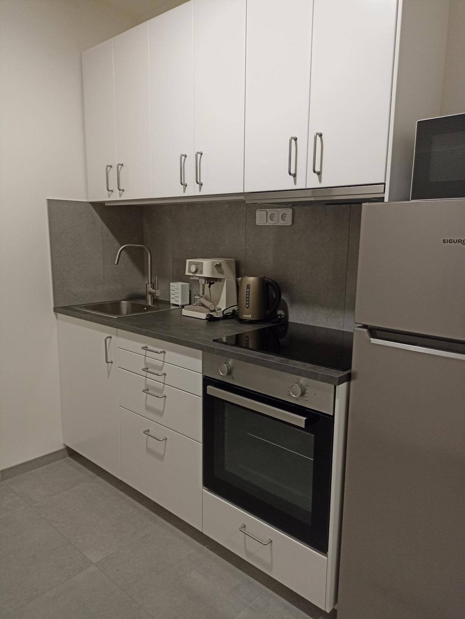 Apartmán Spirit Brno, With Parking *